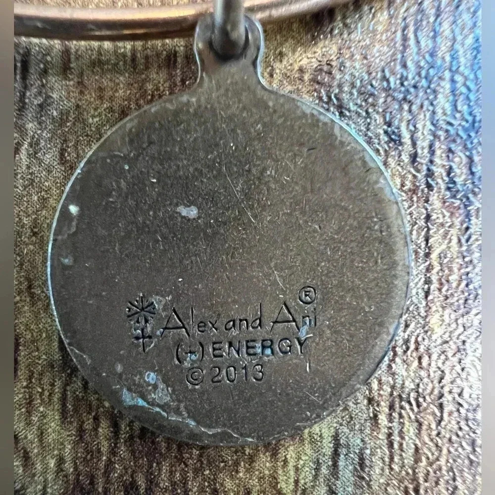 RETIRED: Alex and Ani | Class of 2013 charm bracelet - Picture 9 of 14